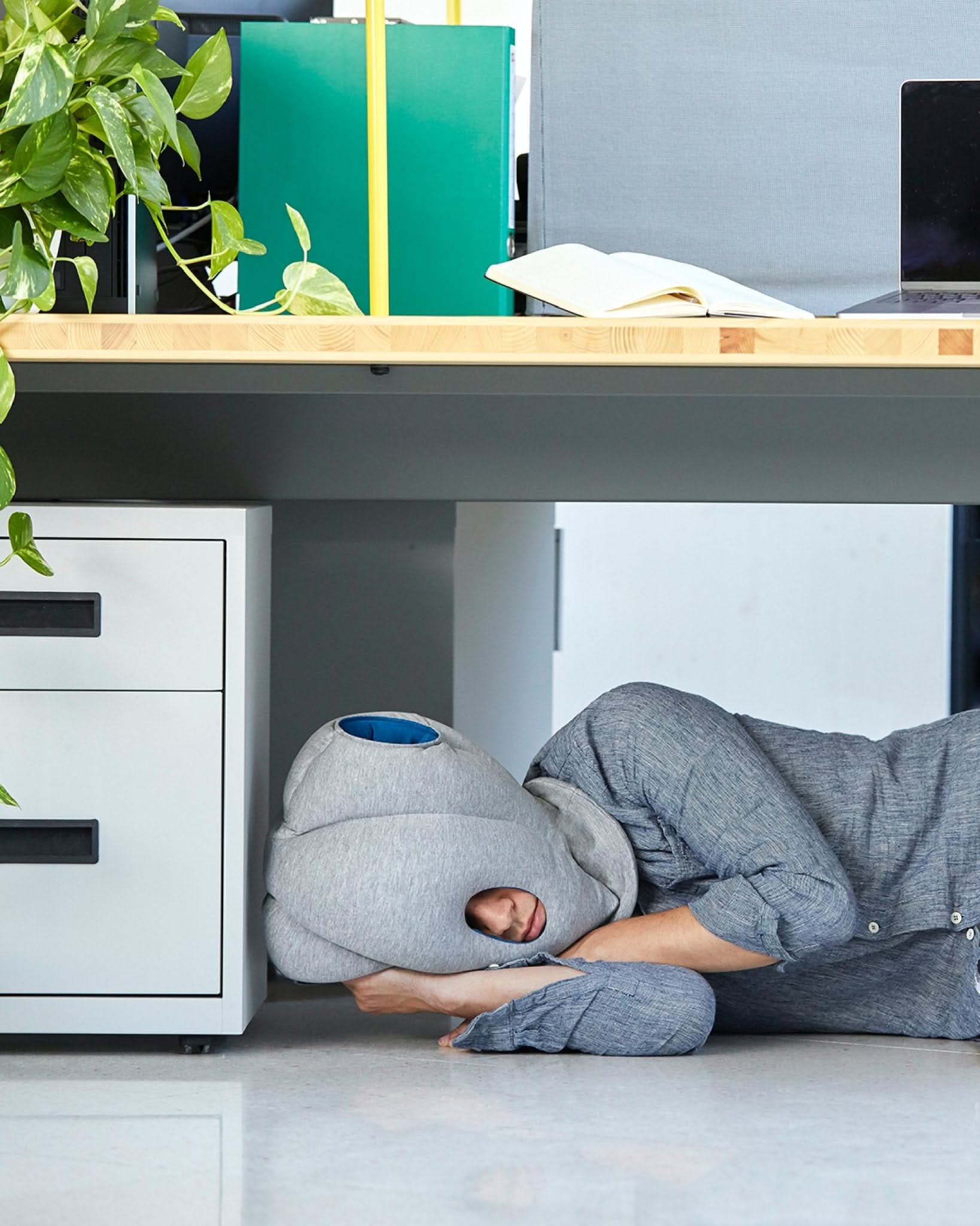 The ostrich napping shops pillow